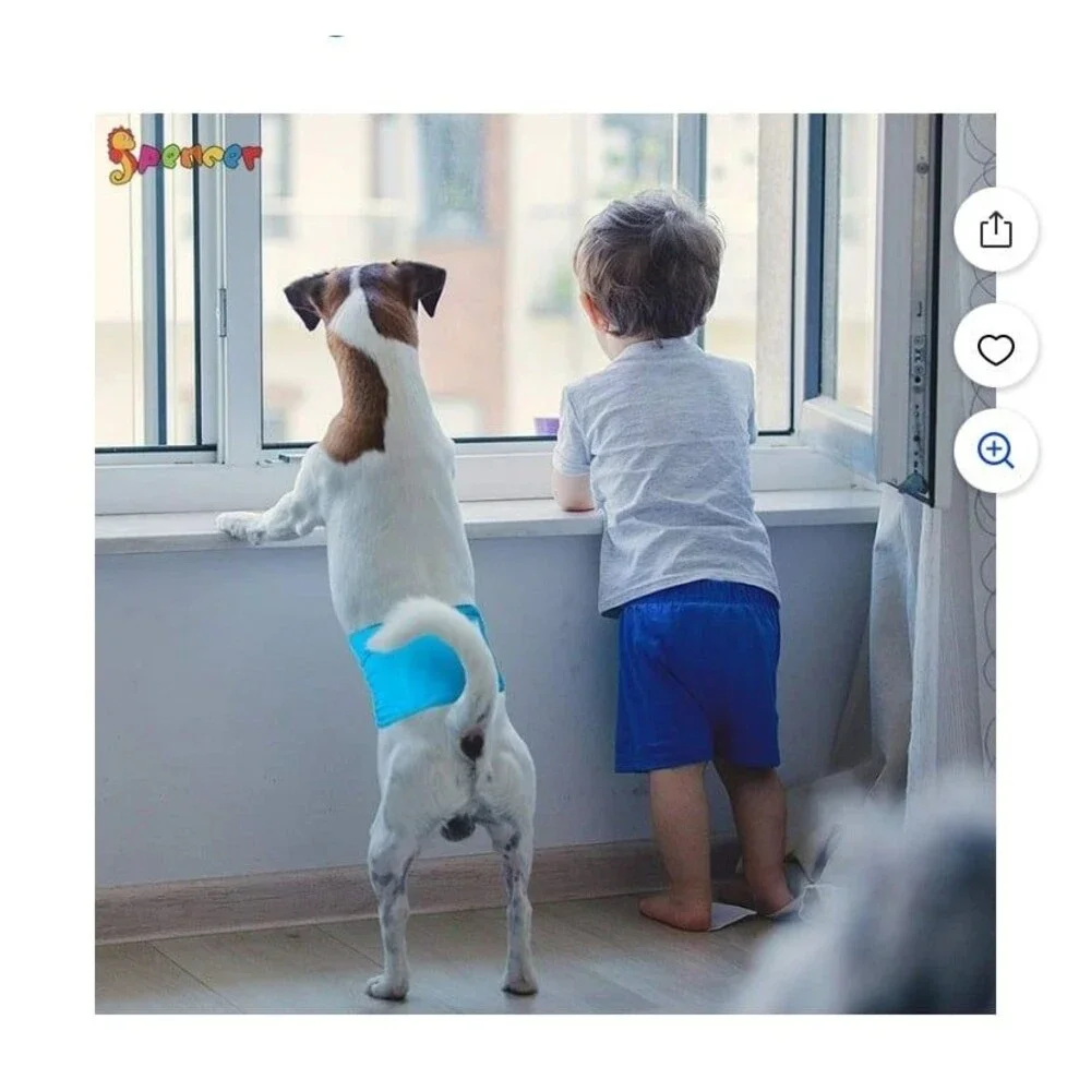 Belly Bands for Male Dogs - Washable Dog Diapers Male Sz X-Large New (Reusable )